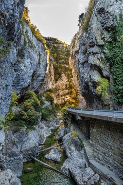 İspanya 'nın Navarre Özerk Topluluğu' ndaki Pireneler 'deki Salazar Nehri' nin Foz de Arbayun kanyonundan geçerek,