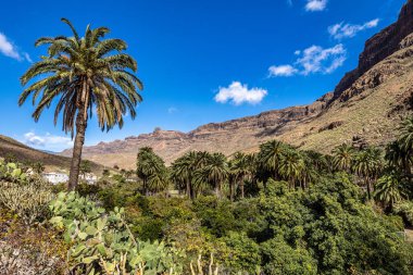 İspanya 'nın Gran Canaria adasındaki Arteara' daki Palm Valley 'in kayalık manzarası. Gran Kanarya, Atlantik Okyanusu 'ndaki Kanarya Adaları' nın en kalabalık ikinci adasıdır..