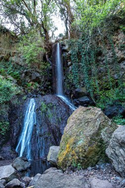 Barranco de los Cernicalos 'un küçük su akıntısı boyunca uzanan Lush arazisinden geçen patika. Gran Kanaryası, Kanarya Adaları, İspanya