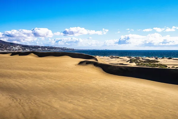 Maspalomas Sand Dunes Dunas Maspalomas Sulla Costa Meridionale Dell Isola — Foto Stock