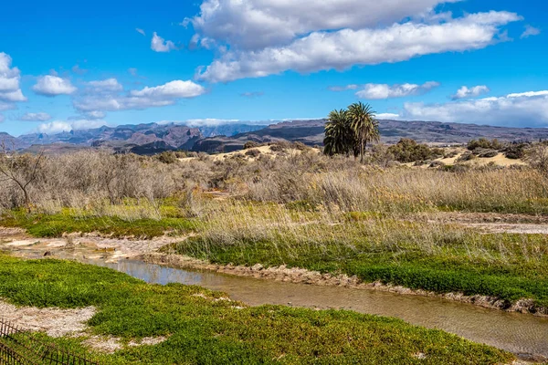 Maspalomas 'ın kumullarına ve İspanya' nın Kanarya adası Gran Kanarya 'daki Charca de Maspalomas gölüne bakın..