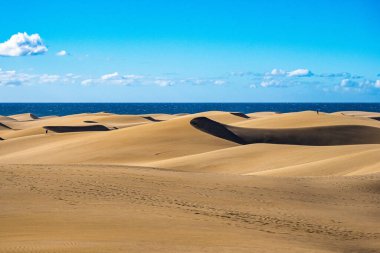 Maspalomas Kum Tepeleri, Dunas de Maspalomas Gran Kanarya Adaları 'nın güney kıyısı, İspanya