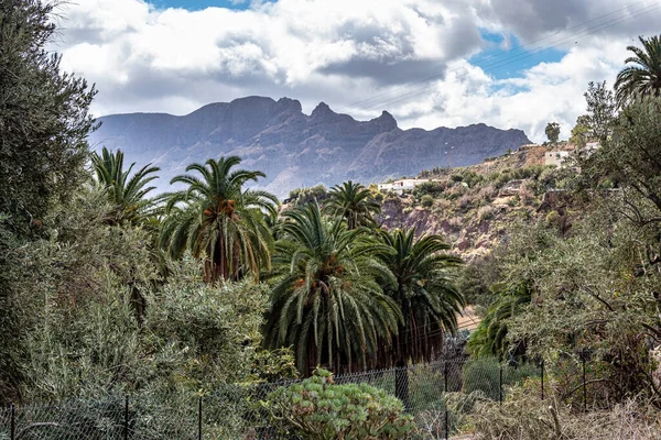 Gran Canariaanse Bergketen Buurt Van Cruz Grande San Bartolome Tirajana — Stockfoto
