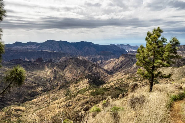 Gran Canaria Szlak Turystyczny Cruz Tejeda Artenary Widok Caldera Tejeda — Zdjęcie stockowe