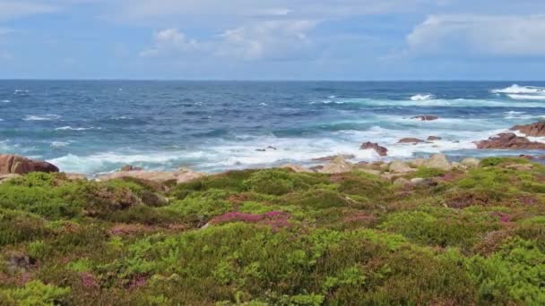 Praia Trece Beach Section Lighthouse Trail Camino Dos Faros Camarinas — Vídeo de Stock