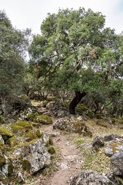 Krajina Kolem Salto Del Gitano Národním Parku Monfrague Caceres Extremadura — Stock fotografie