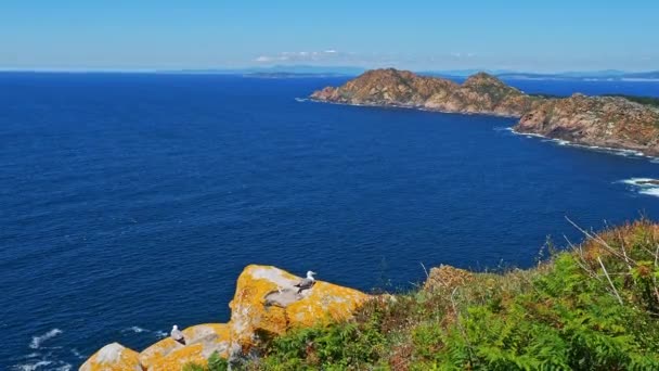 San Martino Island Islas Cies Atlantic Islands Galicia National Park — стоковое видео