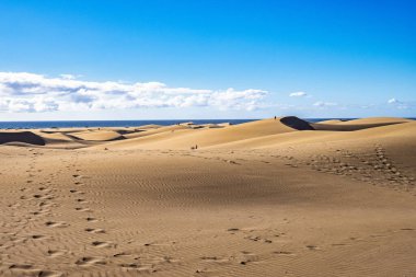 Maspalomas Kum Tepeleri, Dunas de Maspalomas Gran Kanarya Adaları 'nın güney kıyısı, İspanya