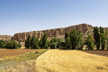 Hiking at Hoces gorges del Rio Riaza Natural Reserve near Segovia in Spain, Europe