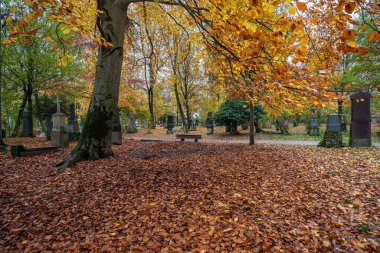 Tarihi mezar taşlarıyla ünlü Münih Eski Kuzey Mezarlığı manzarası. Cenazeler 1944 'ten beri burada yapılmadı. Bunun yerine mezarlık bir park olarak kullanılıyor..