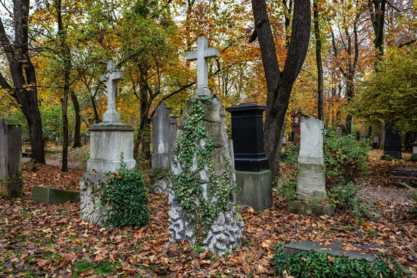 歴史的な墓石を持つドイツのミュンヘンの有名な旧北墓地の眺め 葬儀は1944年以来ここで行われていません 代わりに 墓地は公園として使用されます — ストック写真