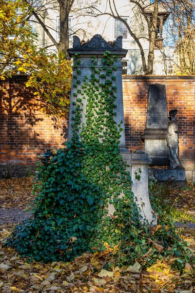 歴史的な墓石を持つドイツのミュンヘンの有名な旧北墓地の眺め 葬儀は1944年以来ここで行われていません 代わりに 墓地は公園として使用されます — ストック写真