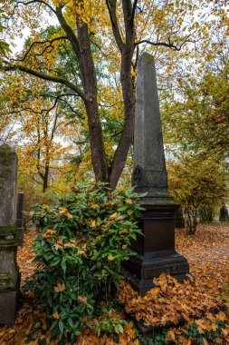 Münih, Almanya - 01 Kasım 2021: Tarihi mezar taşlarıyla ünlü Münih Eski Kuzey Mezarlığı manzarası. Cenazeler 1944 'ten beri burada yapılmadı. Bunun yerine mezarlık bir park olarak kullanılıyor..