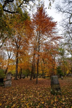 Münih, Almanya - 01 Kasım 2021: Tarihi mezar taşlarıyla ünlü Münih Eski Kuzey Mezarlığı manzarası. Cenazeler 1944 'ten beri burada yapılmadı. Bunun yerine mezarlık bir park olarak kullanılıyor..