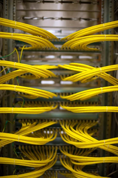 サーバー ルーム内のネットワーク ケーブル — ストック写真