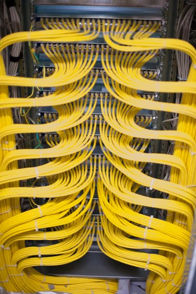 Ağ kabloları bir sunucu odası