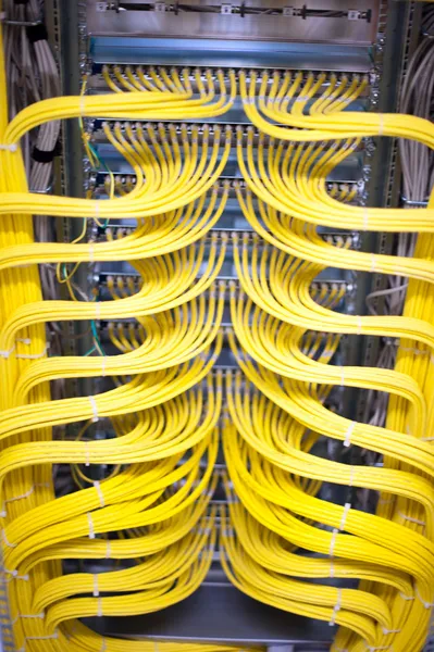 Hálózati kábelek és kiszolgáló Stock Kép