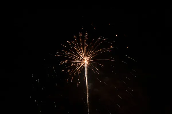 Firework — Stock Photo, Image