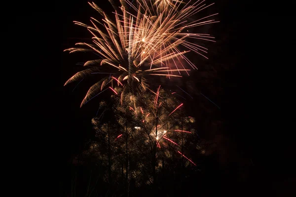 Fuochi d'artificio — Foto Stock