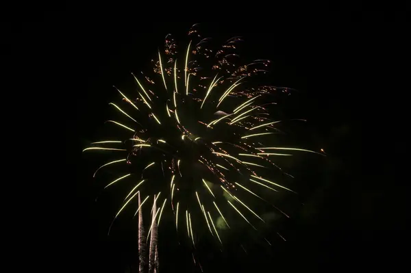 Colorful firework — Stock Photo, Image