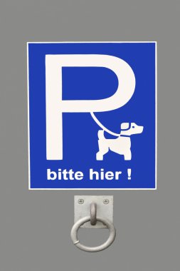 köpek tasmalı kayıt