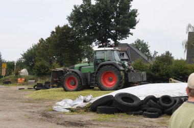 Mısır mahsul biyogaz ve hayvan besleme için