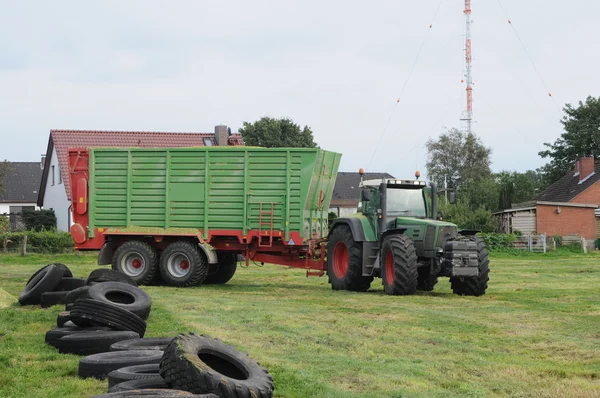 Maisernte für Biogas und Tierfütterung — Stockfoto