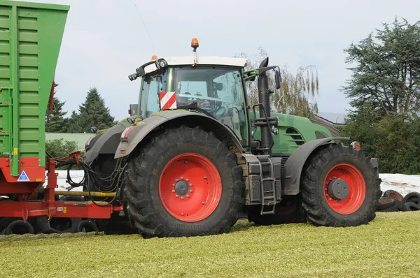 Combineren tarwe oogsten. — Stockfoto