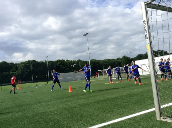 Futebol HSV Hamburger SV — Fotografia de Stock