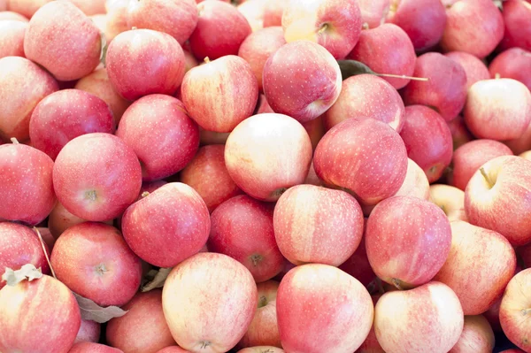 Apples — Stock Photo, Image