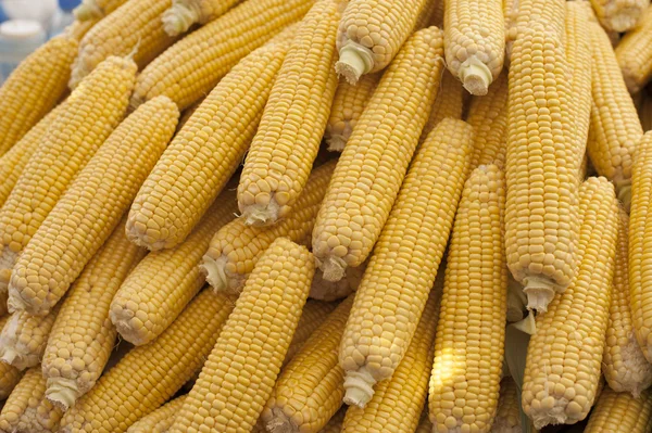 Corn on the cob — Stock Photo, Image