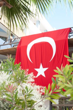 Türkiye'nin bayrak