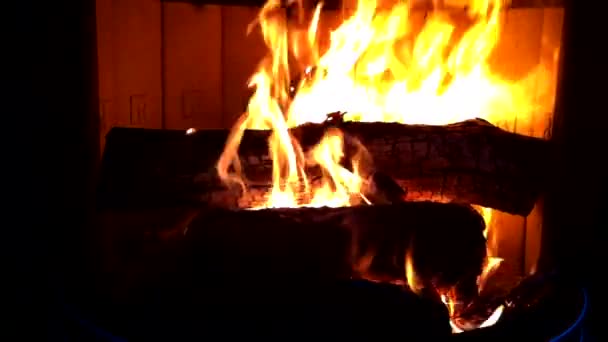Kamin Feuer offenes Feuer — Stockvideo