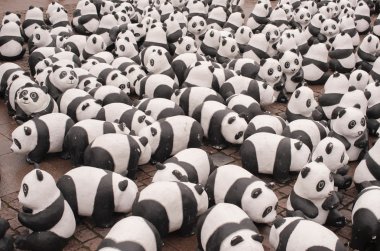 pandalar dünya yaban hayatı