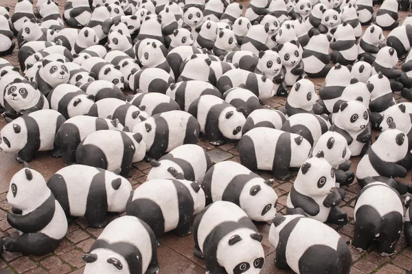 Pandas of the World Wildlife — Stock Photo, Image