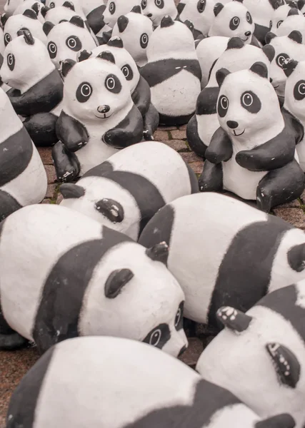 Pandas of the World Wildlife — Stock Photo, Image