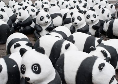 Panda hayvan hakları örgütü