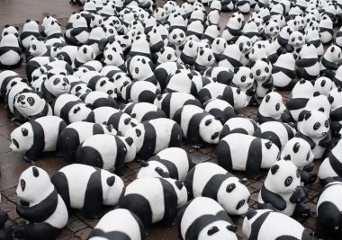 Panda hayvan hakları örgütü