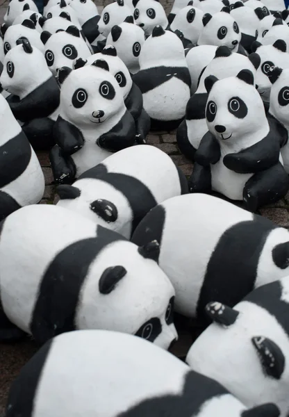 Panda dobrostanu zwierząt organizacji — Zdjęcie stockowe