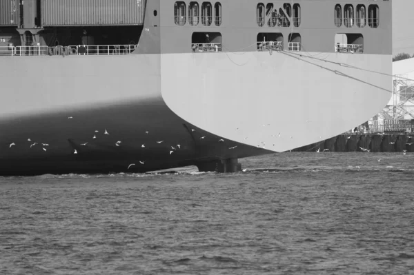 Port of Hamburg — Stock Photo, Image