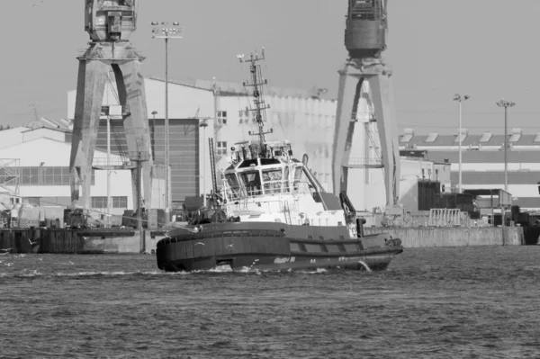 Port of Hamburg — Stock Photo, Image