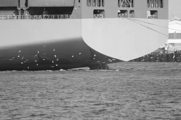 Port of Hamburg — Stock Photo, Image