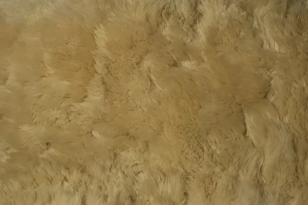 Uno sfondo di una pelle di pecora lanosa tappeto — Foto Stock