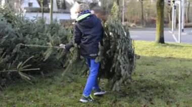 Noel 'den sonra Noel ağacı öğütücüsü