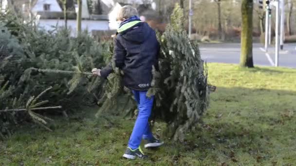 Eliminación de árboles de Navidad después de Navidad — Vídeos de Stock