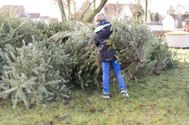 Noel 'den sonra Noel ağacı öğütücüsü