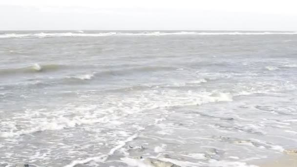 Morze Północne — Wideo stockowe