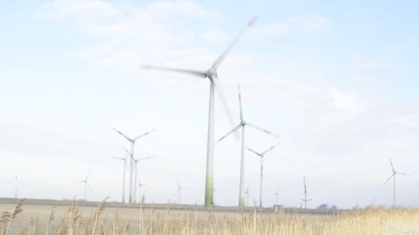 Wind farm energy construction — Stock Video