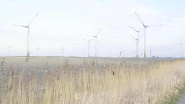 Wind farm energi konstruktion — Stockvideo