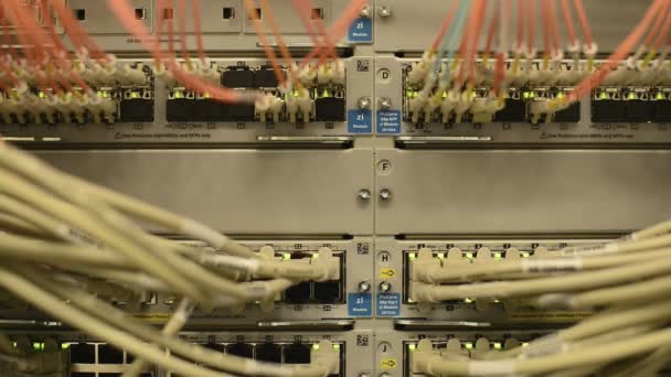 Ağ lan patch panel — Stok video